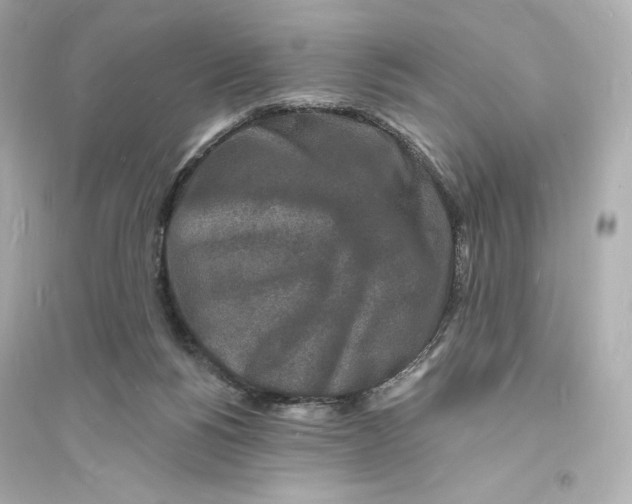 X0000093720168200711131022