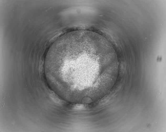 X0000093720177200711131022