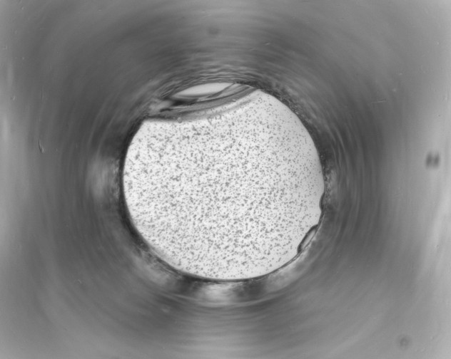 X0000093720178200711131022