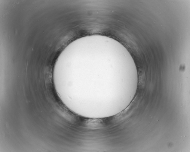 X0000093720179200711131022