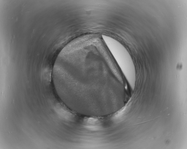 X0000093720180200711131023