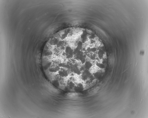 X0000093720181200711131023