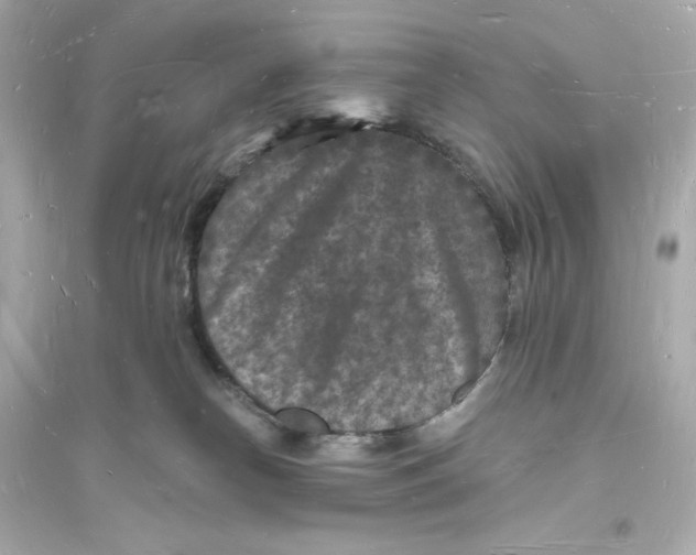 X0000093720182200711131023