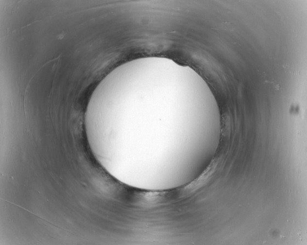 X0000093720184200711131023