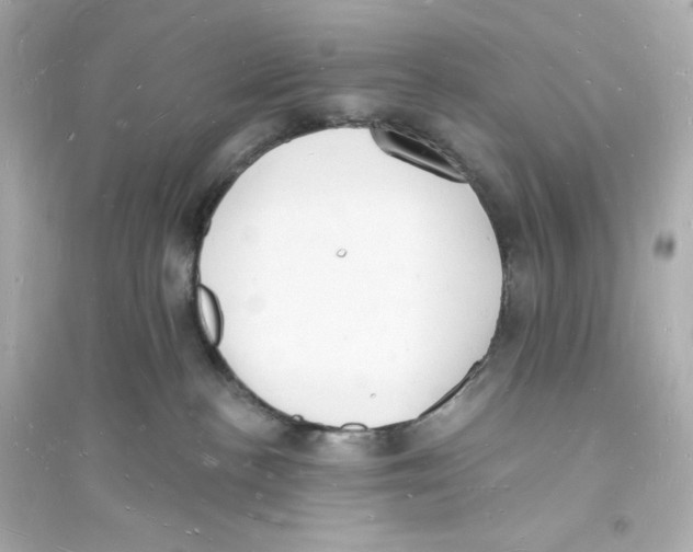 X0000093720188200711131023