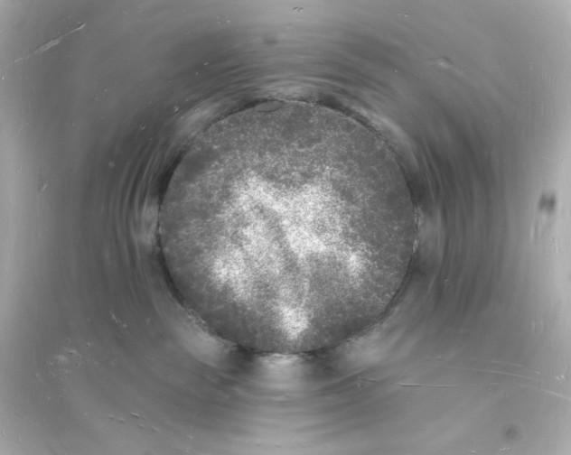 X0000093720189200711131023