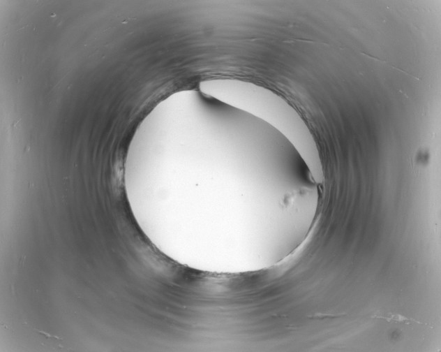 X0000093720190200711131023