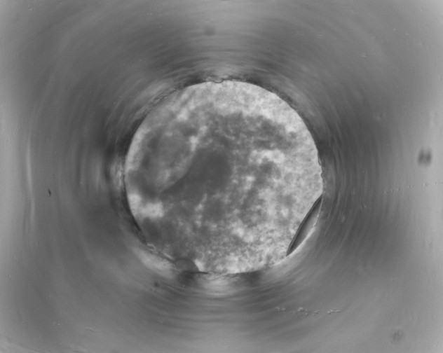 X0000093720191200711131023