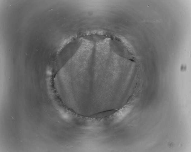 X0000093720192200711131023