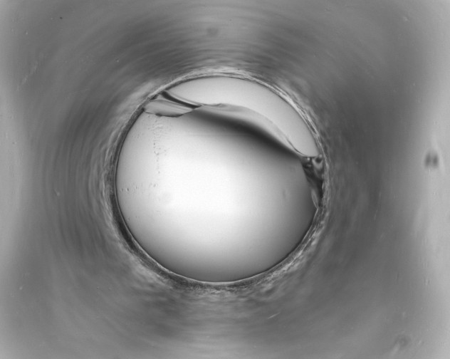 X0000093720193200711131022