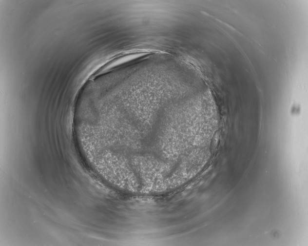 X0000093720194200711131022