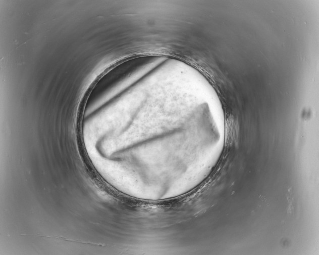 X0000093720195200711131022