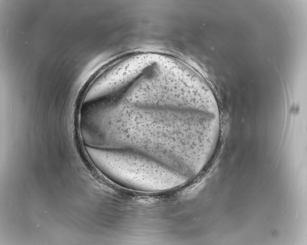 X0000093720199200711131022