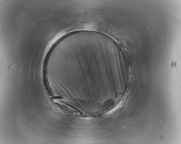 X0000093720200200711131022