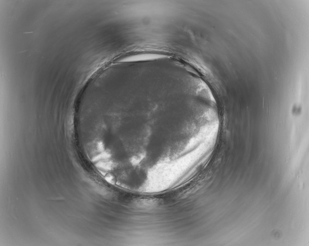 X0000093720202200711131022