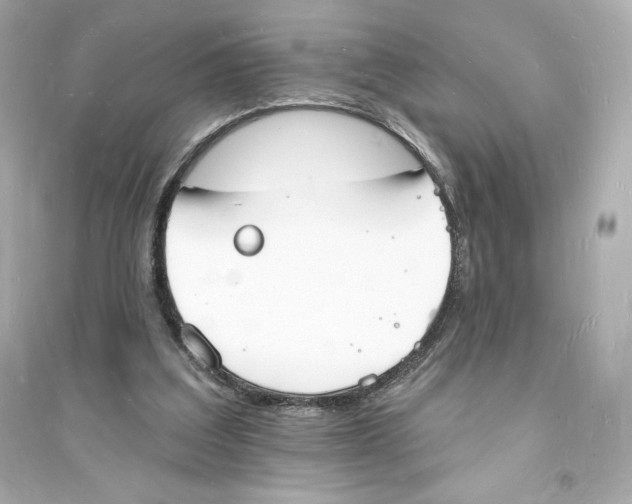 X0000093720203200711131022