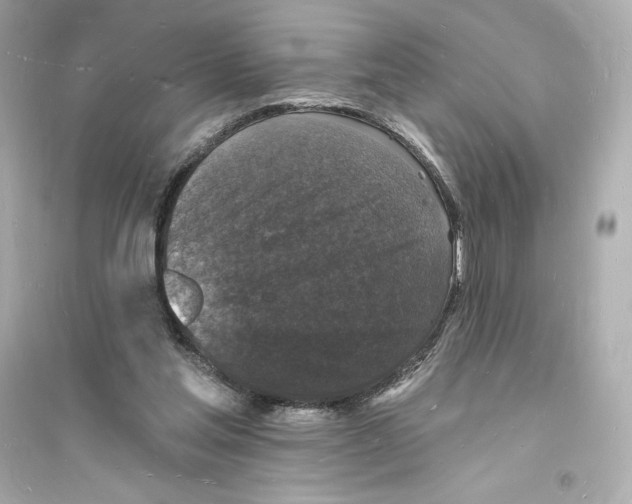 X0000093720205200711131022