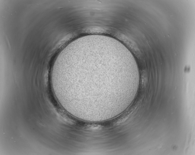 X0000093720206200711131022