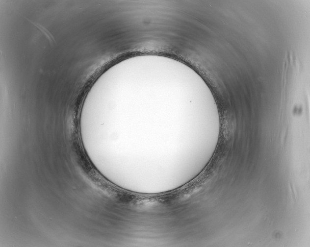 X0000093720208200711131022