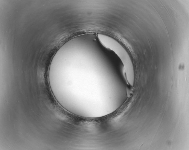 X0000093720209200711131022