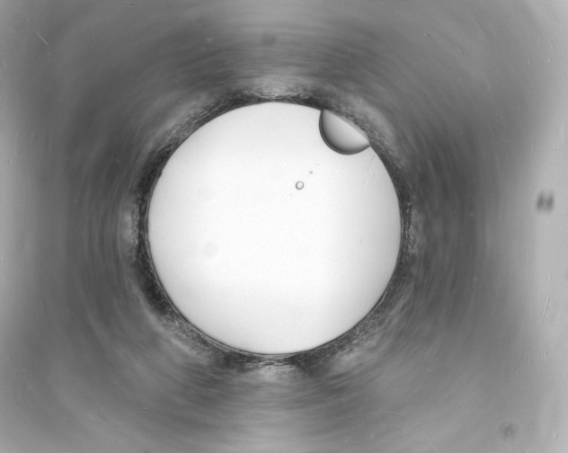 X0000093720210200711131021