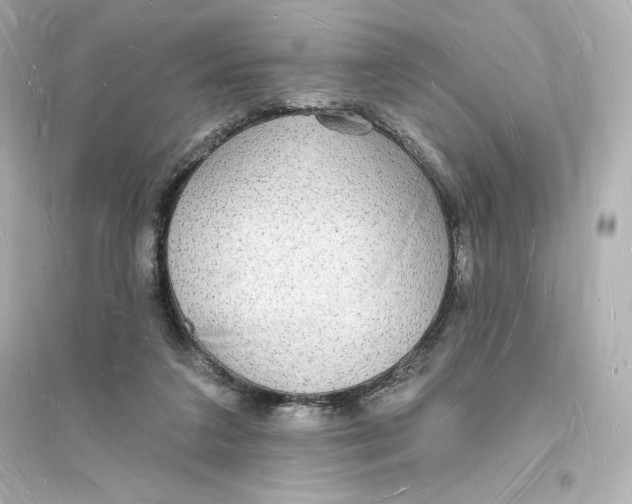 X0000093720211200711131021