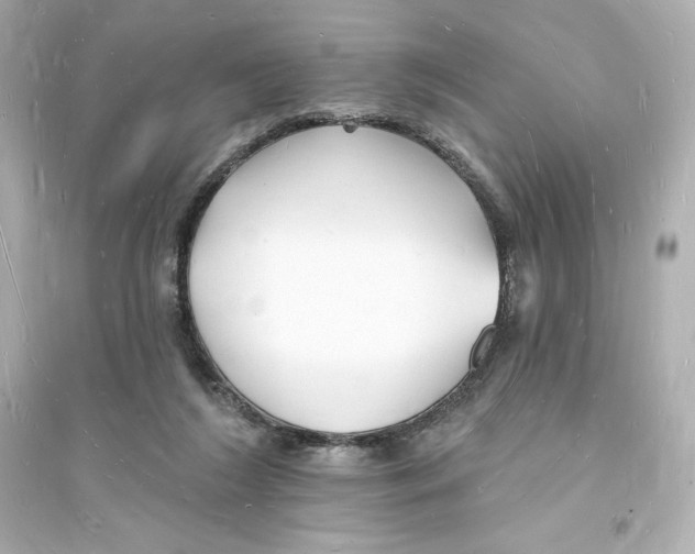 X0000093720212200711131021