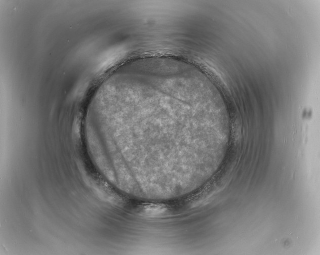 X0000093720214200711131021