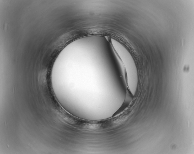 X0000093720217200711131021