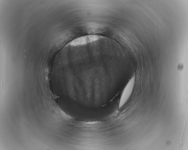 X0000093720219200711131021