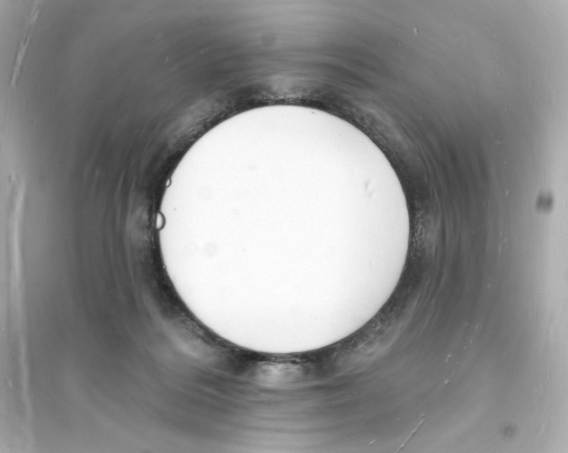 X0000093720220200711131021