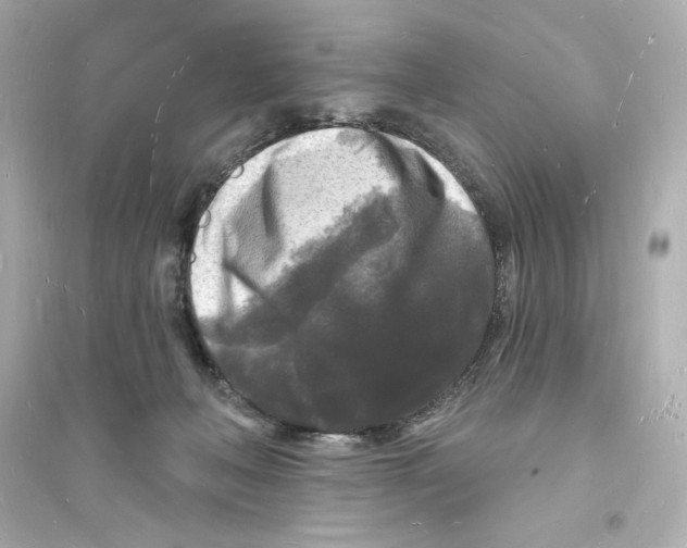 X0000093720222200711131021