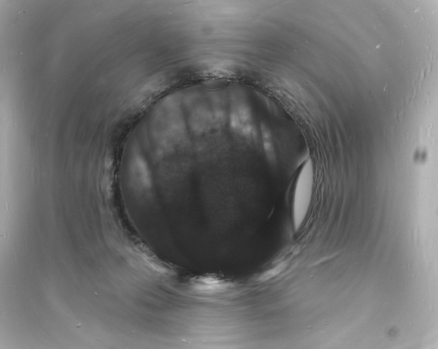 X0000093720223200711131021