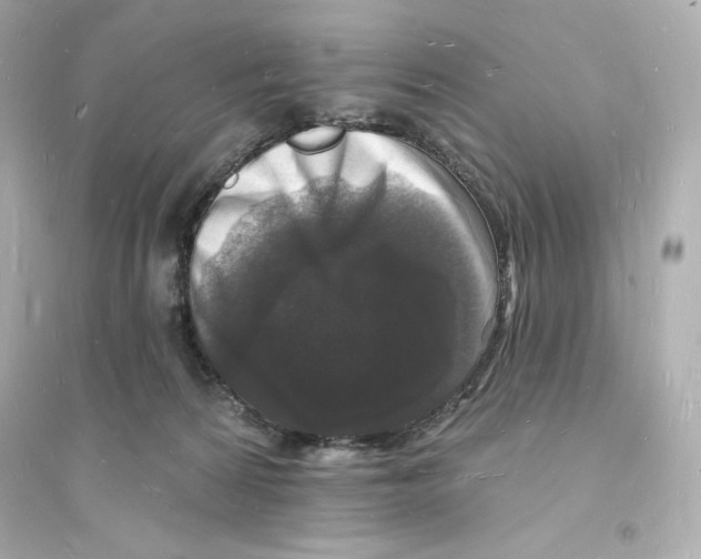 X0000093720224200711131021