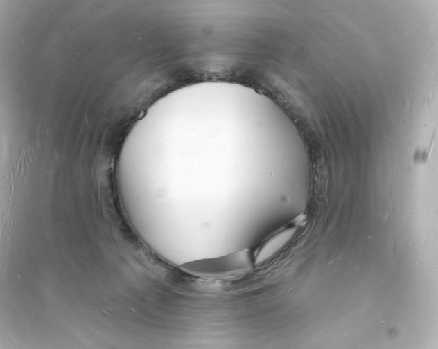 X0000093720225200711131021