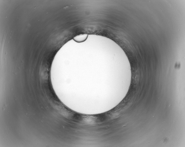 X0000093720226200711131021