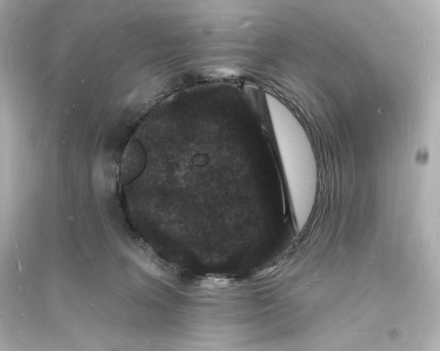 X0000093720227200711131021