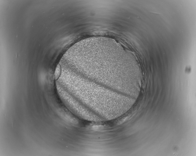 X0000093720228200711131021