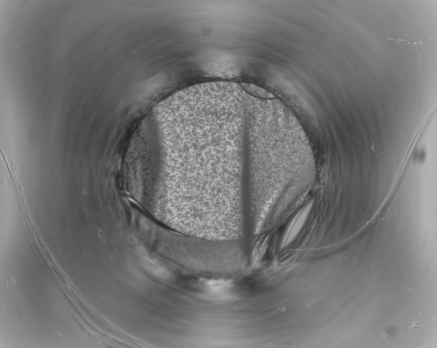 X0000093720229200711131021