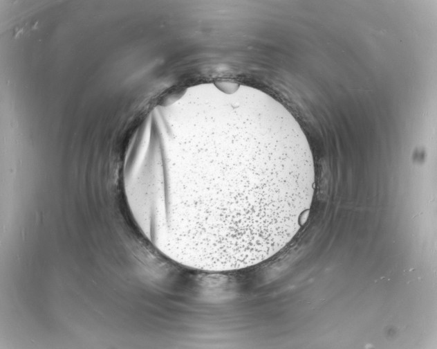 X0000093720230200711131021