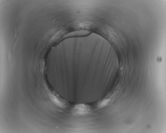 X0000093720231200711131021