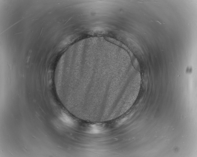 X0000093720232200711131021