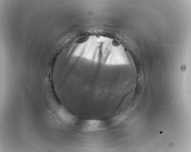 X0000093720233200711131021