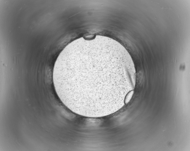 X0000093720234200711131021