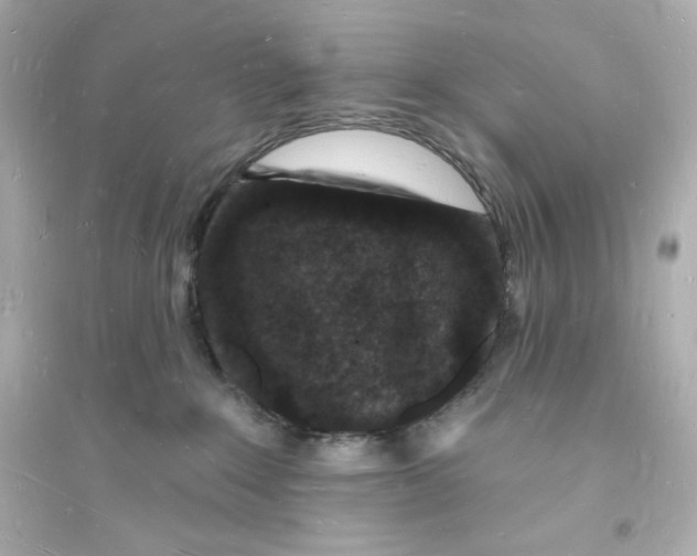 X0000093720235200711131021