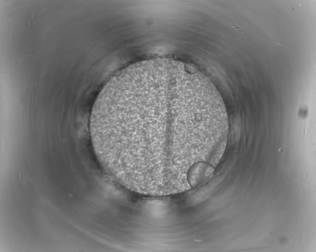 X0000093720236200711131021