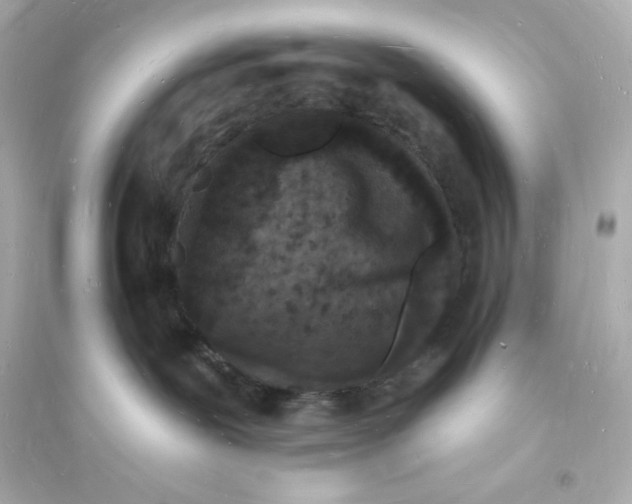 X0000093720239200711131021