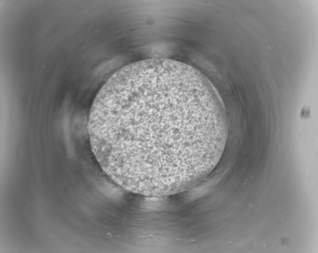 X0000093720240200711131021