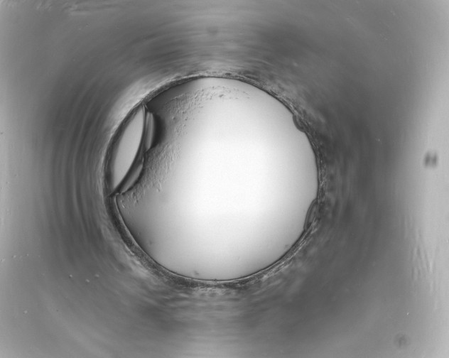 X0000093720242200711131020