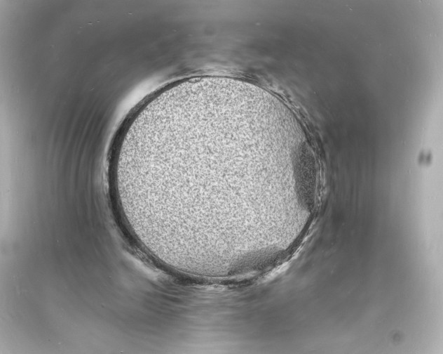 X0000093720246200711131020